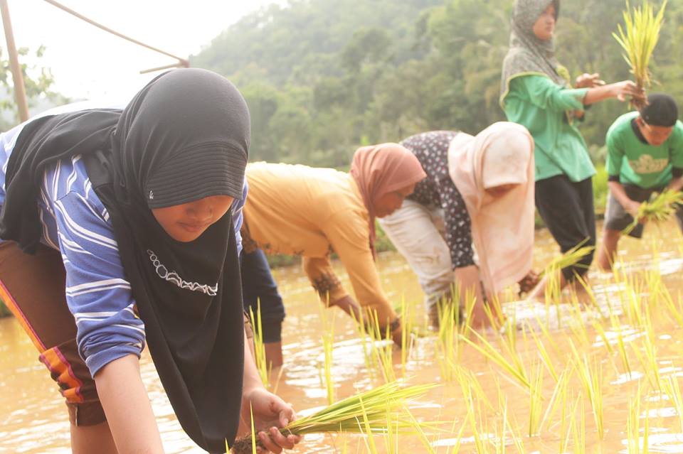 Komunitas Belajar Qaryah Thayyibah Belajar di Nglanggeran