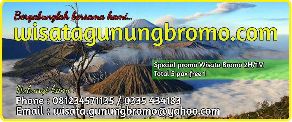 wisata gunung bromo