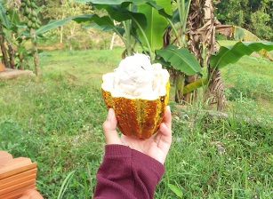 MENIKMATI SEGELAS COKELAT MANIS DI PENGUJUNG HARI