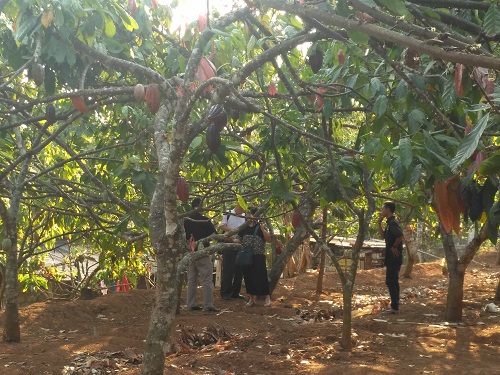 Desa Wisata Nglanggeran menjadi salah satu primadona Kunjungan Wisatawan Asing 