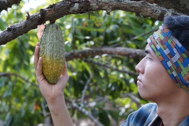 Mau berwisata sambil belajar? Aktivitas ini bisa dilakukan di Desa Nglanggeran Lho!