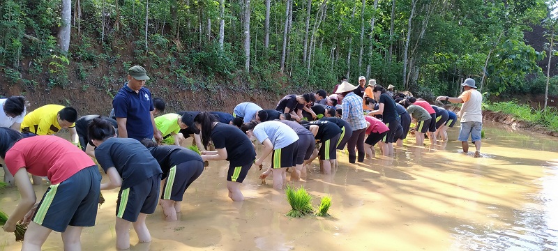 Desa Wisata Nglanggeran: Asyiknya Berlibur dengan Belajar dan Bermain di Sawah