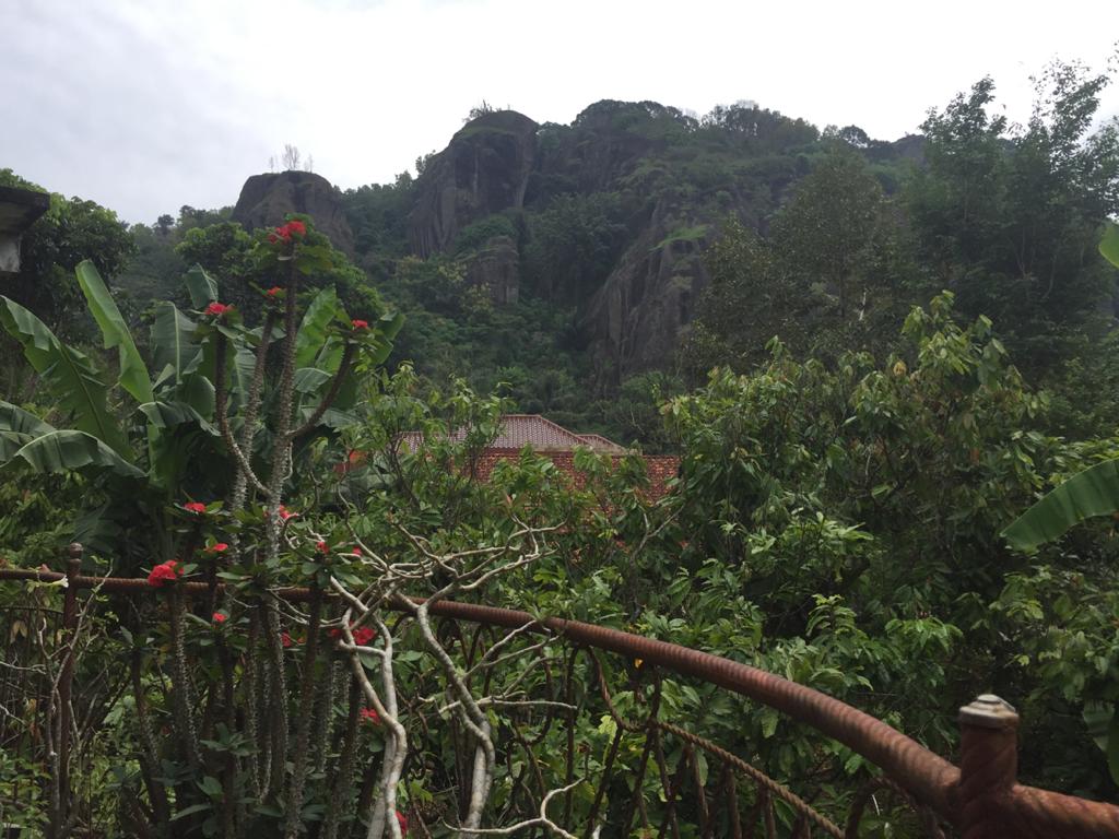 Nimati Kenyamanan Homestay Serasa Hidup Berdampingan dengan Alam 