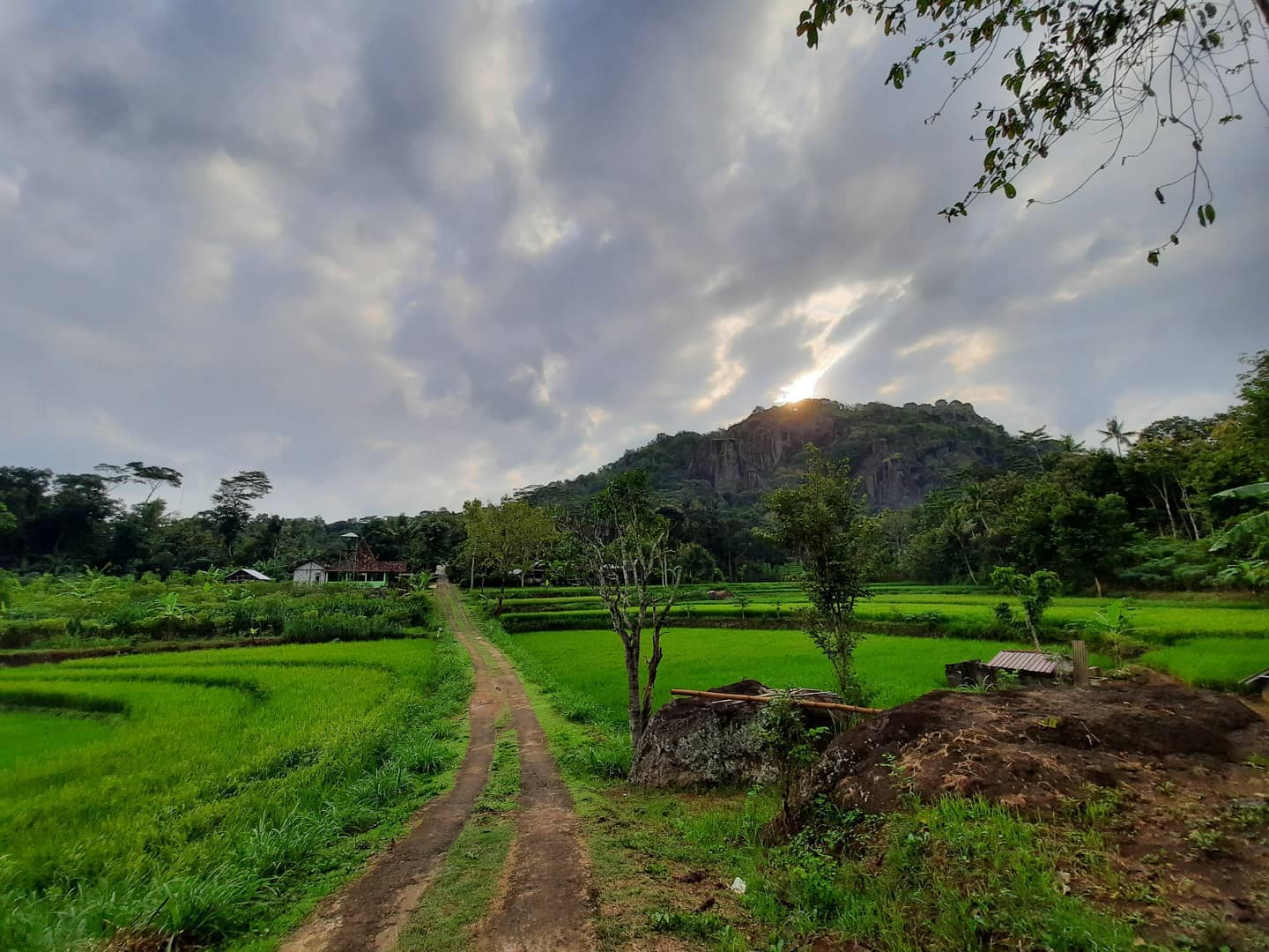 Desa Wisata Nglanggeran Buka Kembali, Kini Bisa dikunjungi Wisatawan
