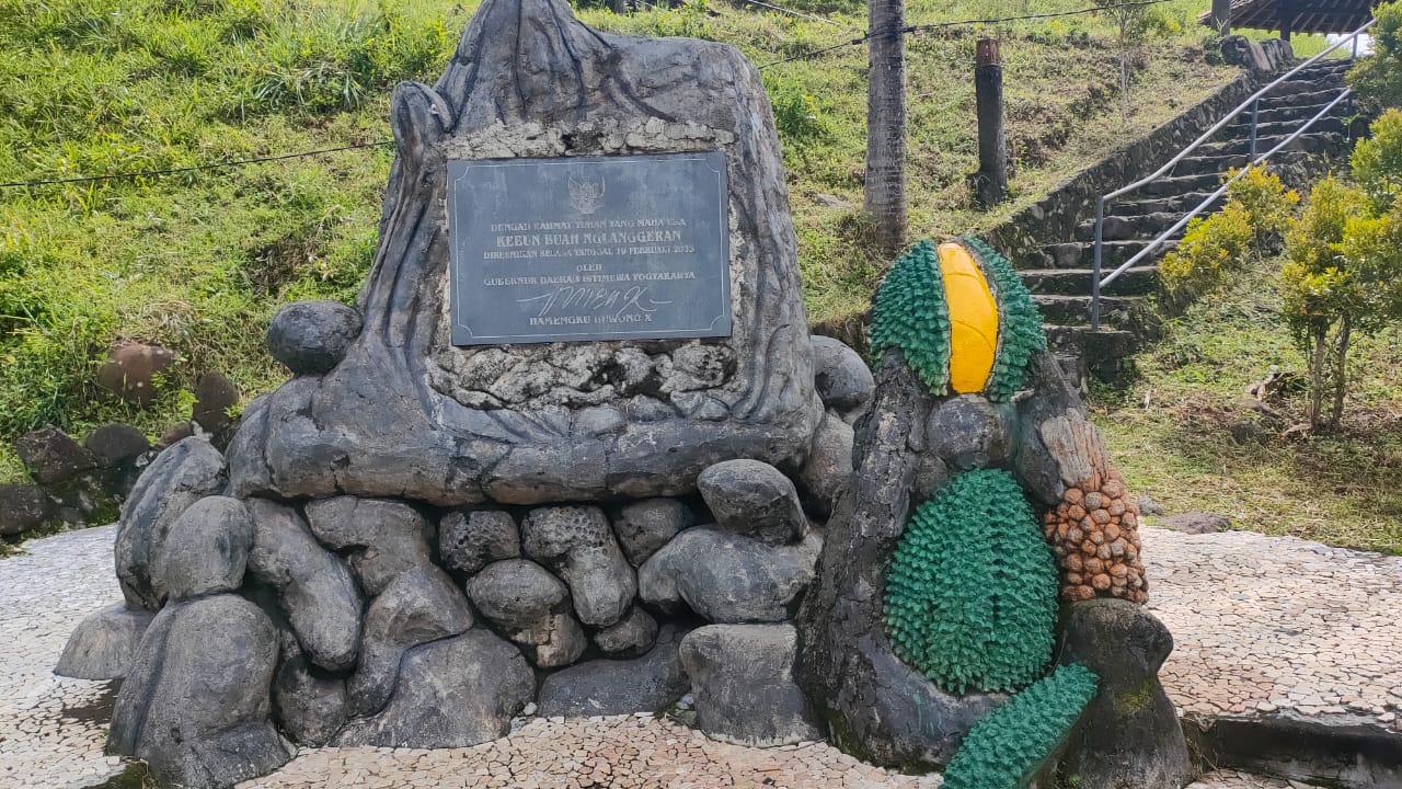 Durian Kebun Buah Embung Nglanggeran