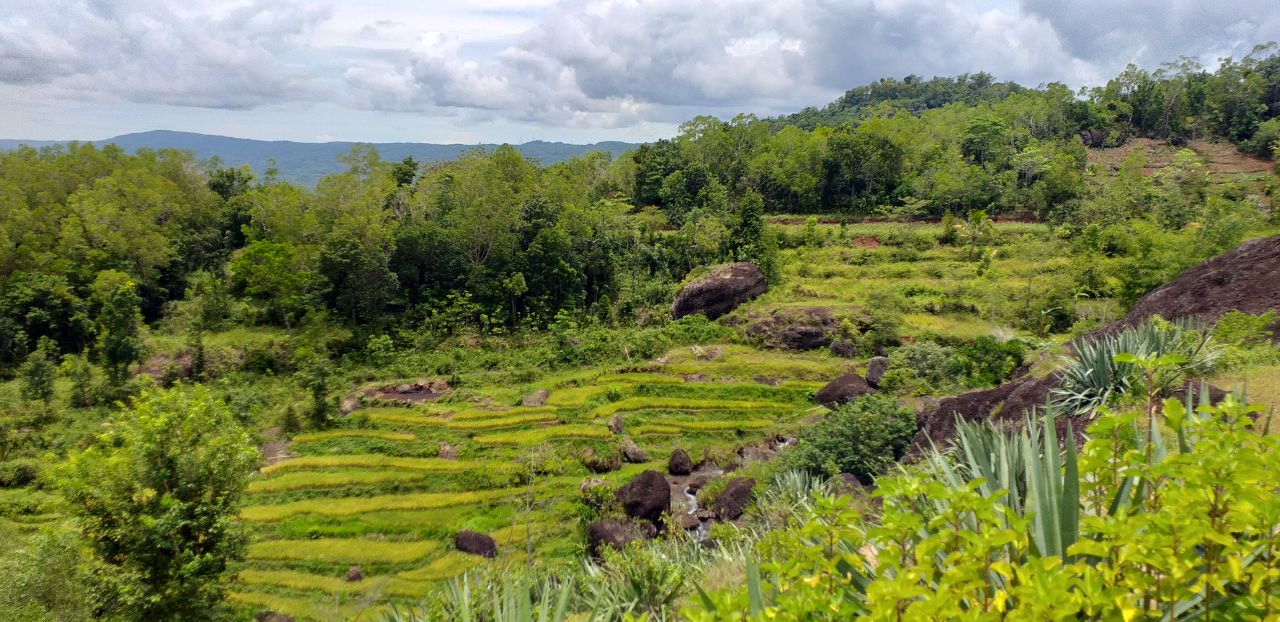 Bagaimana Sih Rasanya Magang di Desa Wisata Nglanggeran?