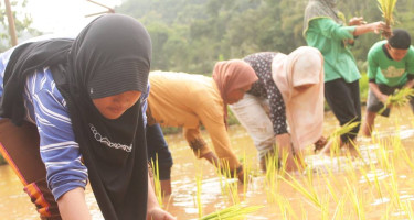 Komunitas Belajar Qaryah Thayyibah Belajar di Nglanggeran