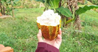 MENIKMATI SEGELAS COKELAT MANIS DI PENGUJUNG HARI