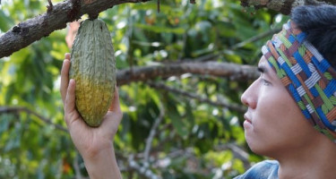 Mau berwisata sambil belajar? Aktivitas ini bisa dilakukan di Desa Nglanggeran Lho!