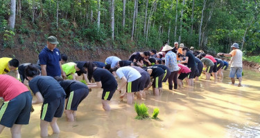 Desa Wisata Nglanggeran: Asyiknya Berlibur dengan Belajar dan Bermain di Sawah