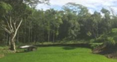 Legenda Kampung Pitu