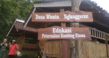 Wisata Ternak Kambing Etawa di Nglanggeran