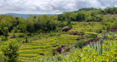 Bagaimana Sih Rasanya Magang di Desa Wisata Nglanggeran?