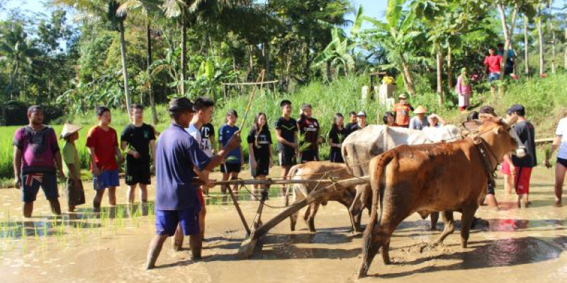 Educational Tourism