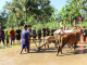 Educational Tourism